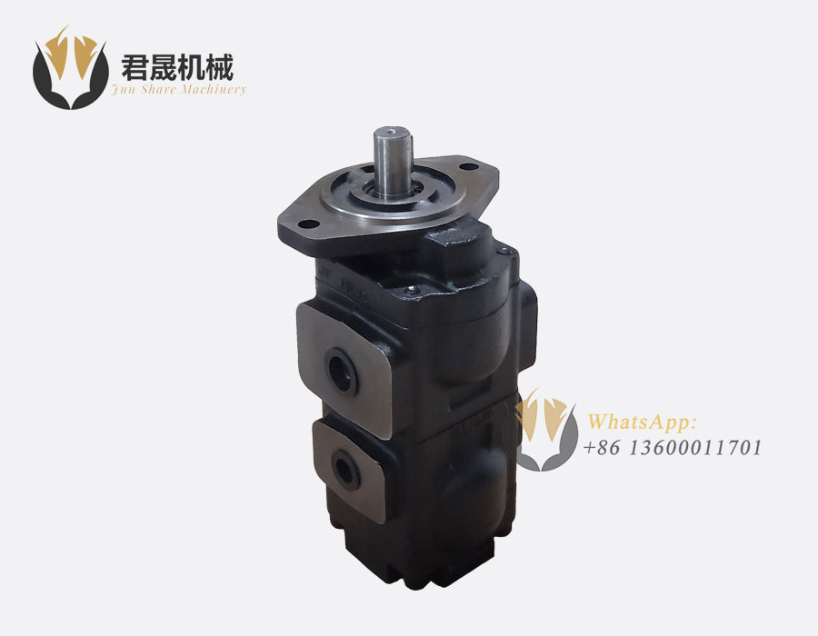 20-925579 20/925579 JCB Hydraulic Pump